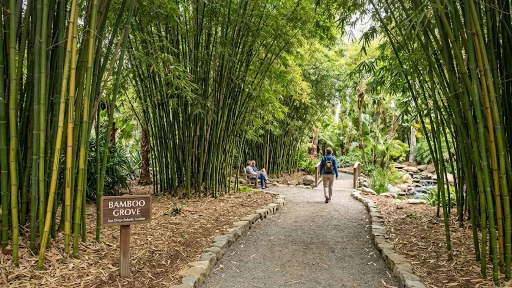 San Diego Botanic Garden (Encinitas, Near Carlsbad)