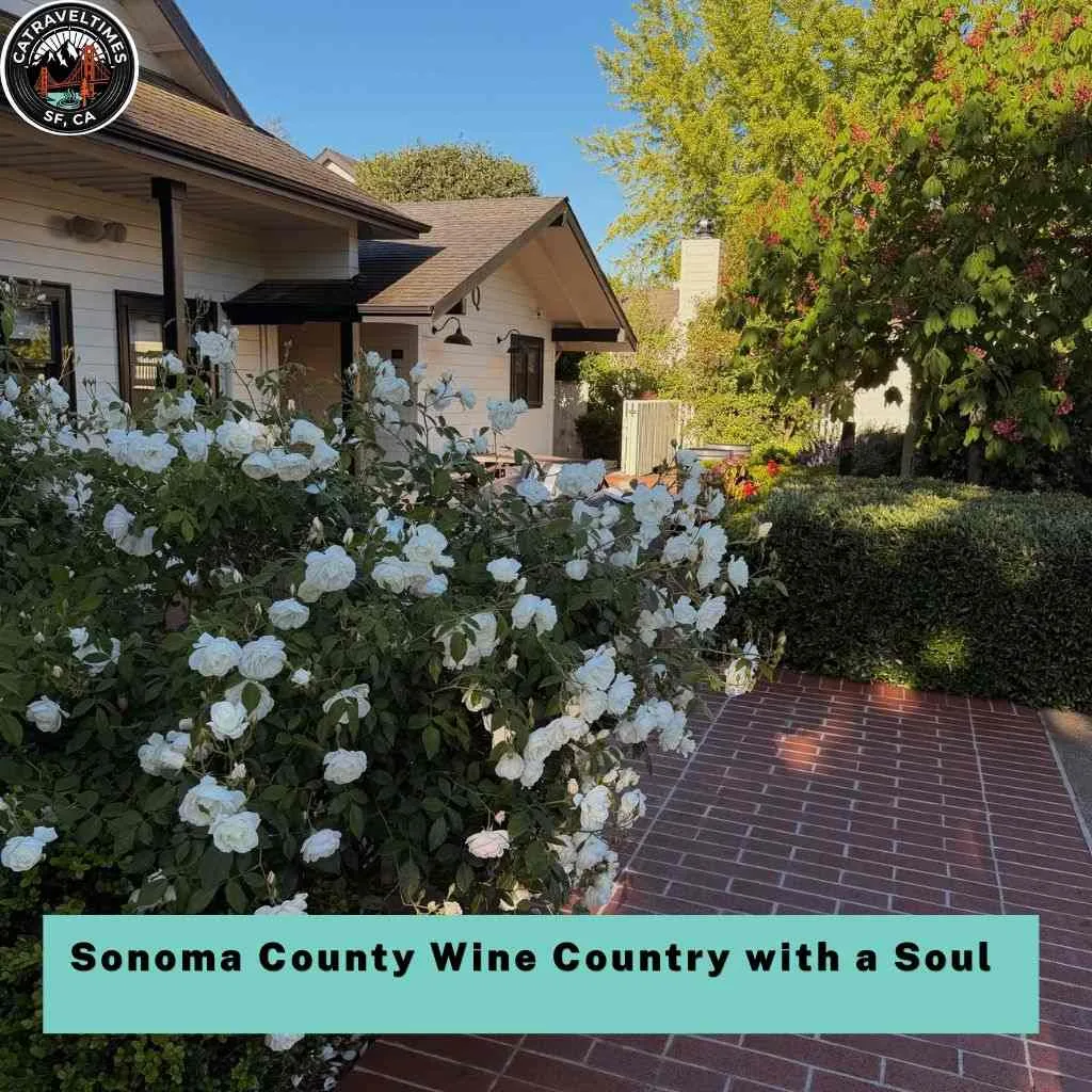 Sonoma County Wine Country with a Soul