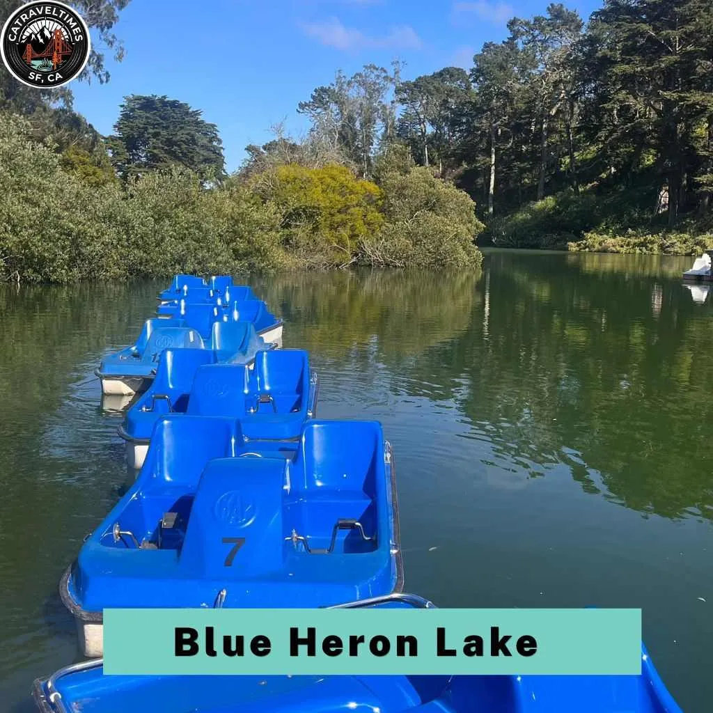 Golden Gate Park San Francisco Things to Do: Complete Guide 2026 6 Stow Lake (Blue Heron Lake)