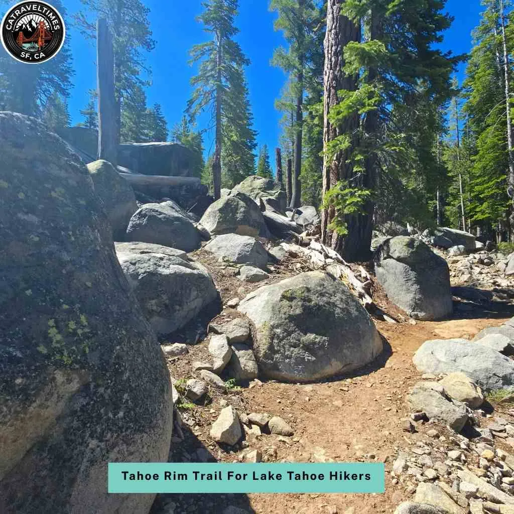 Tahoe Rim Trail For Lake Tahoe Hikers Who Want It All