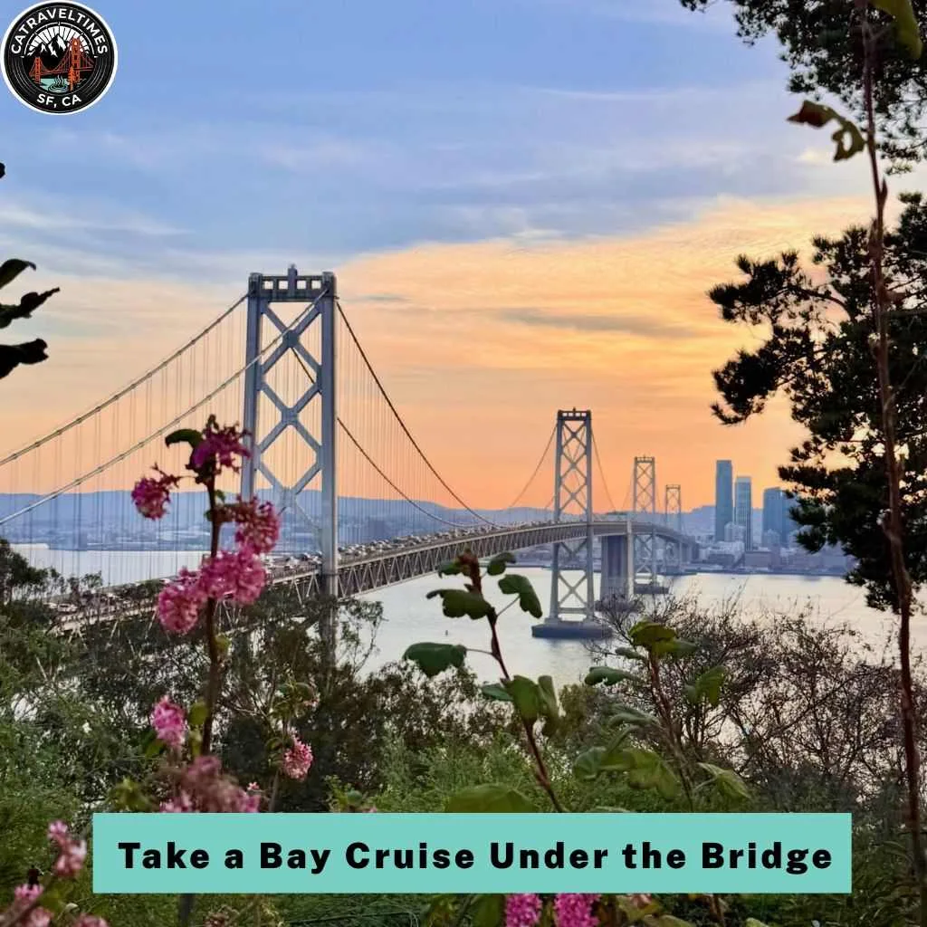 Take a Bay Cruise Under the Bridge