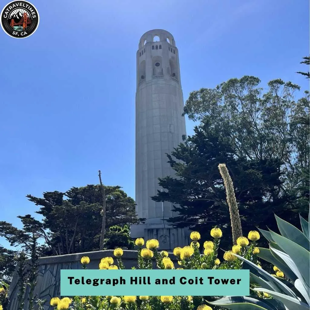 10 Best San Francisco Bay Cruise: The Updated Guide 2026 13 Telegraph Hill and Coit Tower