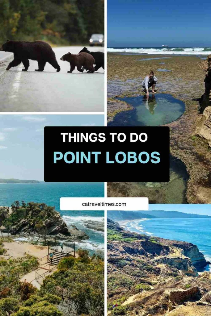 Point Lobos State Natural Reserve: Updated Guide 2026 7 Things to Do at Point Lobos