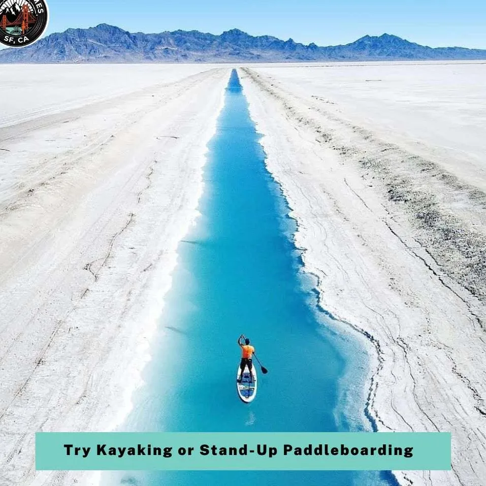 Things to Do in Monterey and Carmel: Your Ultimate California Coastal Guide 2026 7 Try Kayaking or Stand-Up Paddleboarding