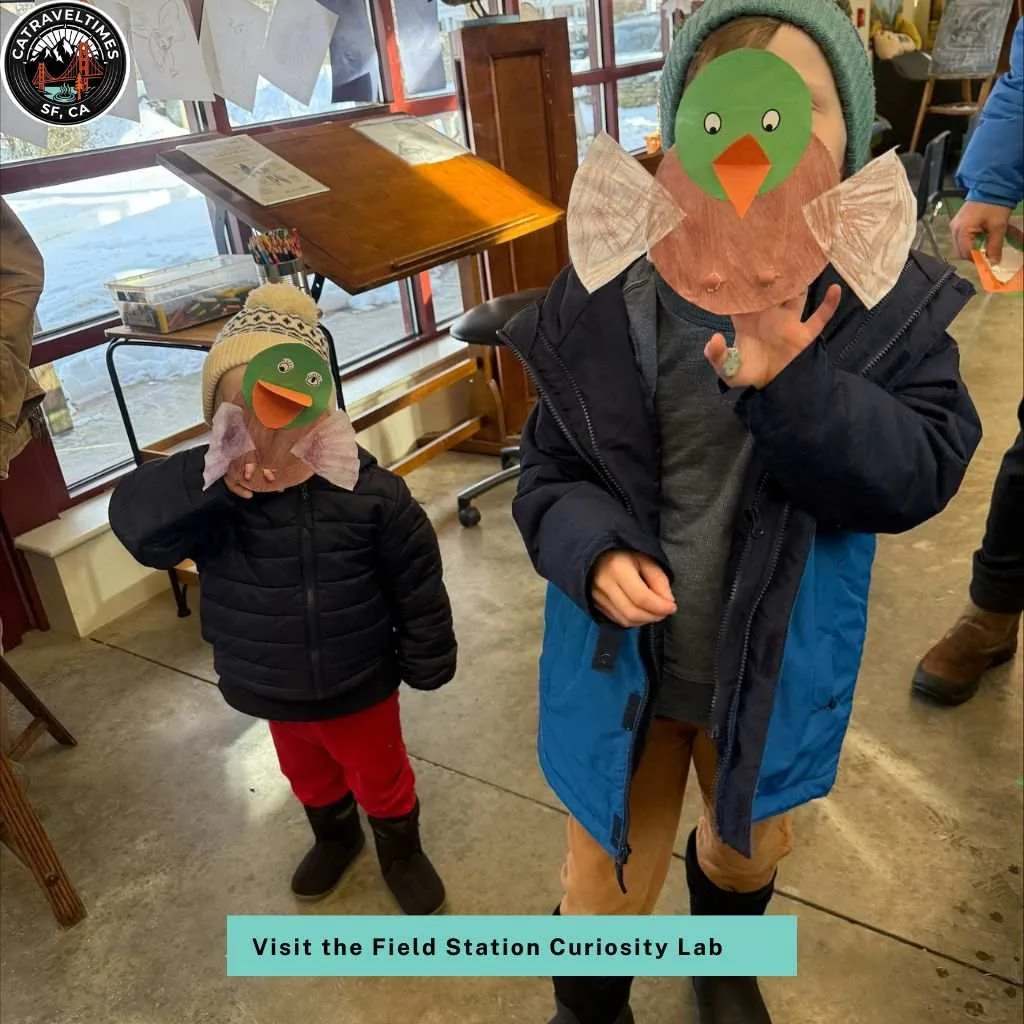 Visit the Field Station Curiosity Lab
