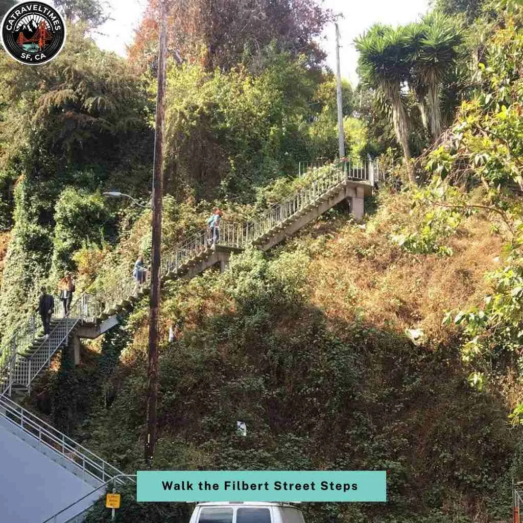 Walk the Filbert Street Steps