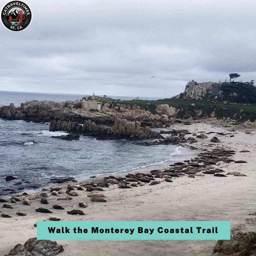 Things to Do in Monterey and Carmel: Your Ultimate California Coastal Guide 2026 5 Walk the Monterey Bay Coastal Trail