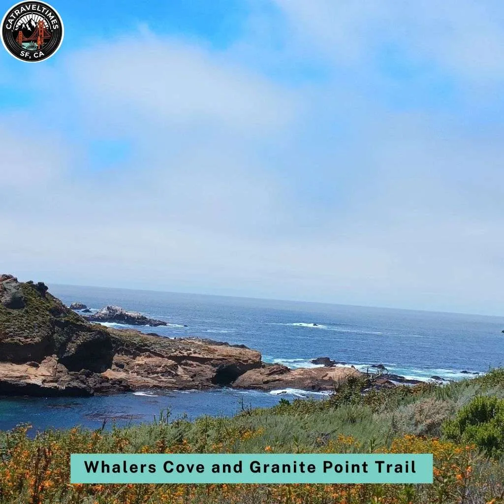 Point Lobos State Natural Reserve: Updated Guide 2026 6 Whalers Cove and Granite Point Trail