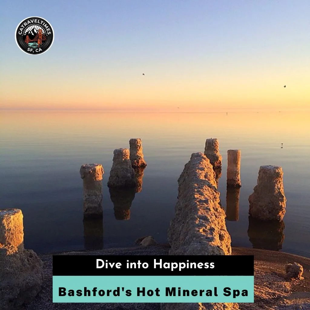 Bashford's Hot Mineral Spa Dive into Happiness