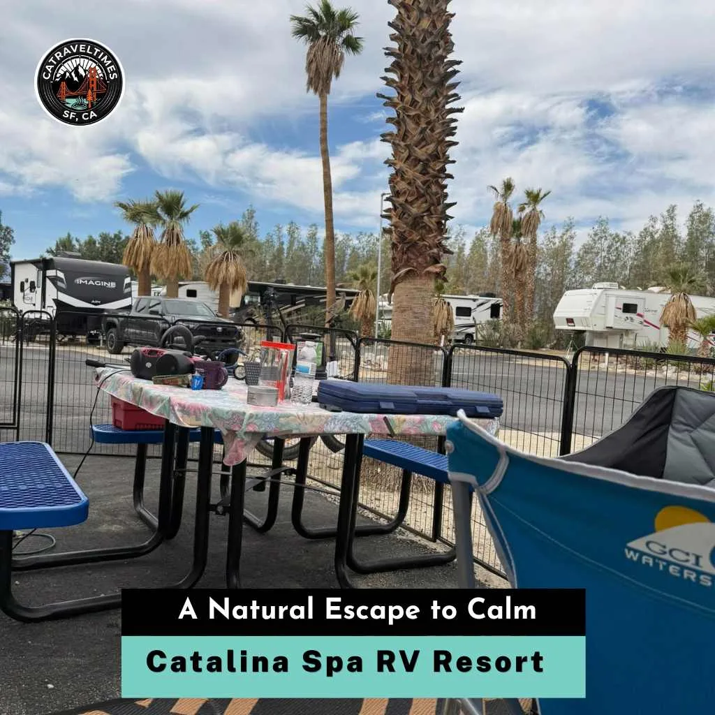 Catalina Spa RV Resort A Natural Escape to Calm