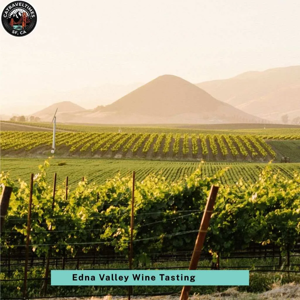 Edna Valley Wine Tasting