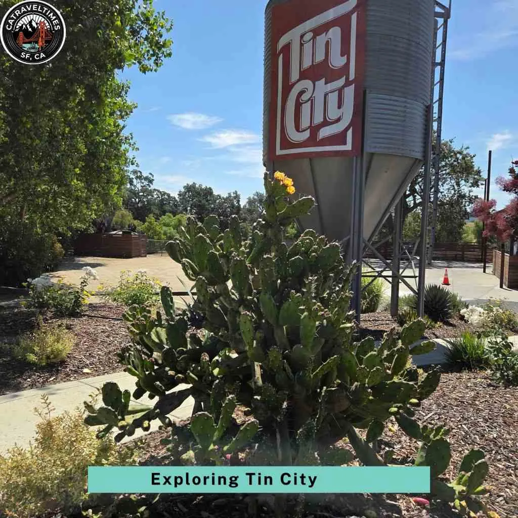 Exploring Tin City