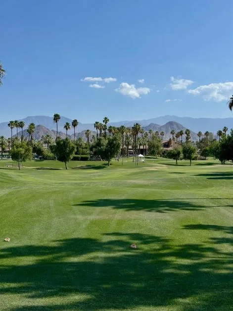 Top 14 Things to Do in Palm Springs California: Complete 2026 Guide 8 Golf a Desert Course