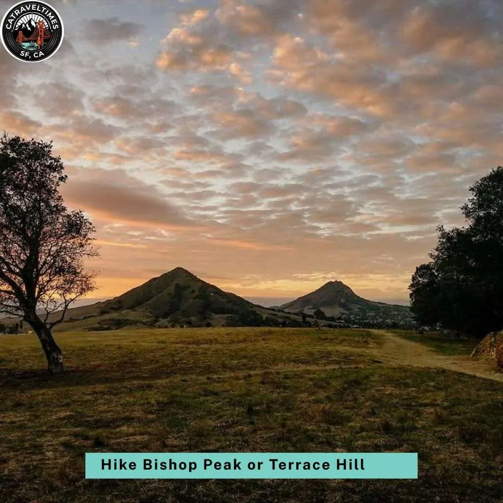 Hike Bishop Peak or Terrace Hill