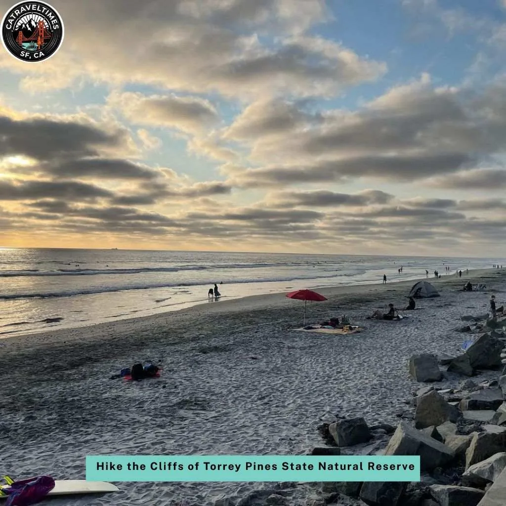 Top Things to Do in San Diego: The Complete 2026 Guide 11 Hike the Cliffs of Torrey Pines State Natural Reserve