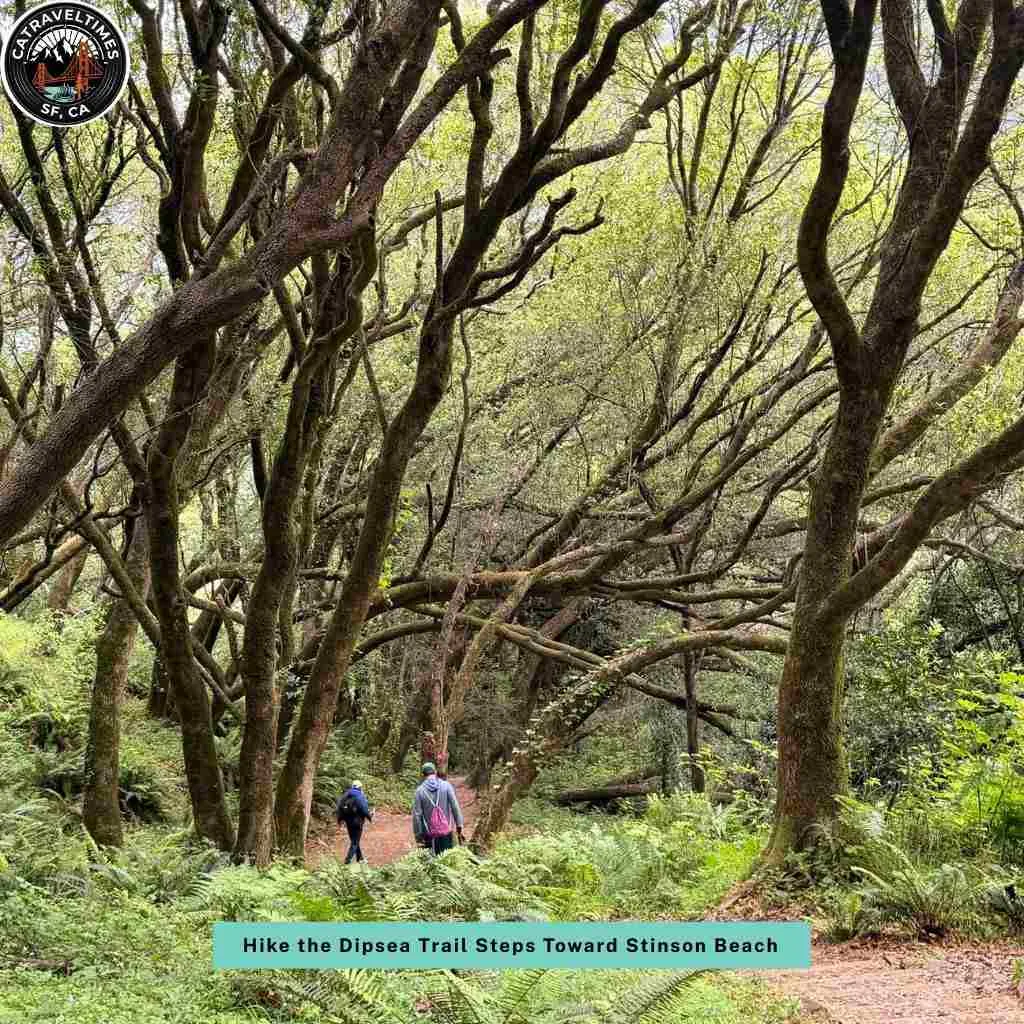 Hike the Dipsea Trail Steps Toward Stinson Beach