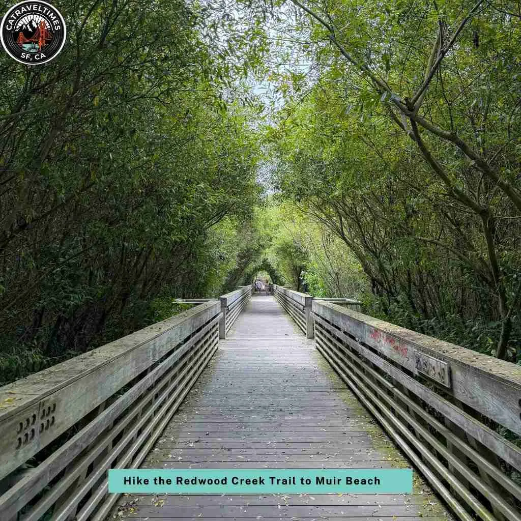 Hike the Redwood Creek Trail to Muir Beach