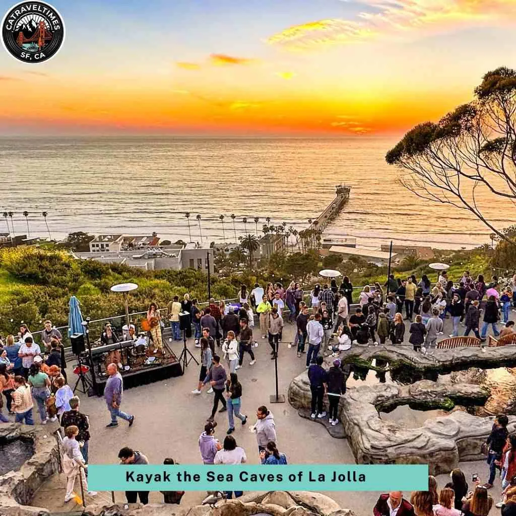 Top Things to Do in San Diego: The Complete 2026 Guide 8 Kayak the Sea Caves of La Jolla
