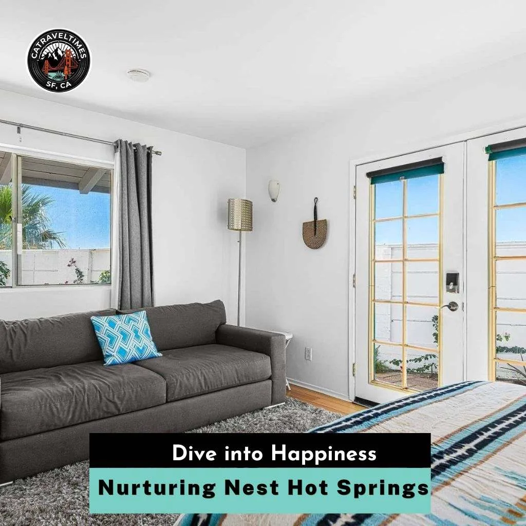 Nurturing Nest Hot Springs Dive into Happiness 