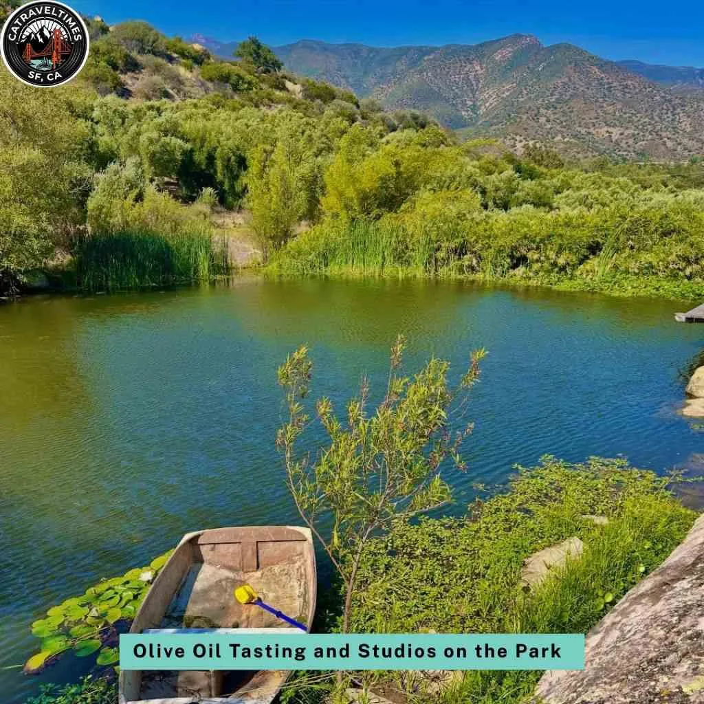 Olive Oil Tasting and Studios on the Park