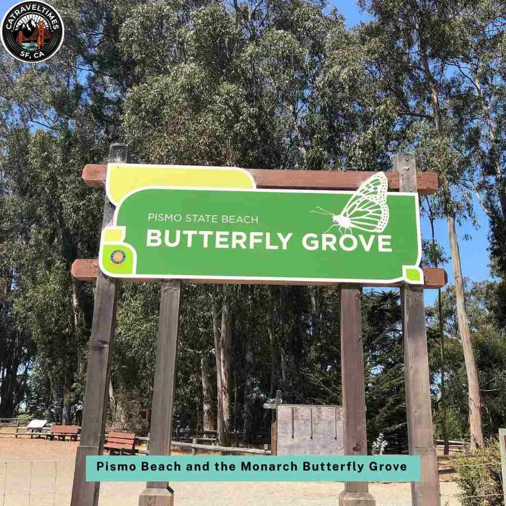 Pismo Beach and the Monarch Butterfly Grove