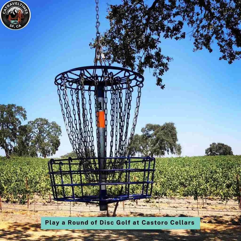 Play a Round of Disc Golf at Castoro Cellars