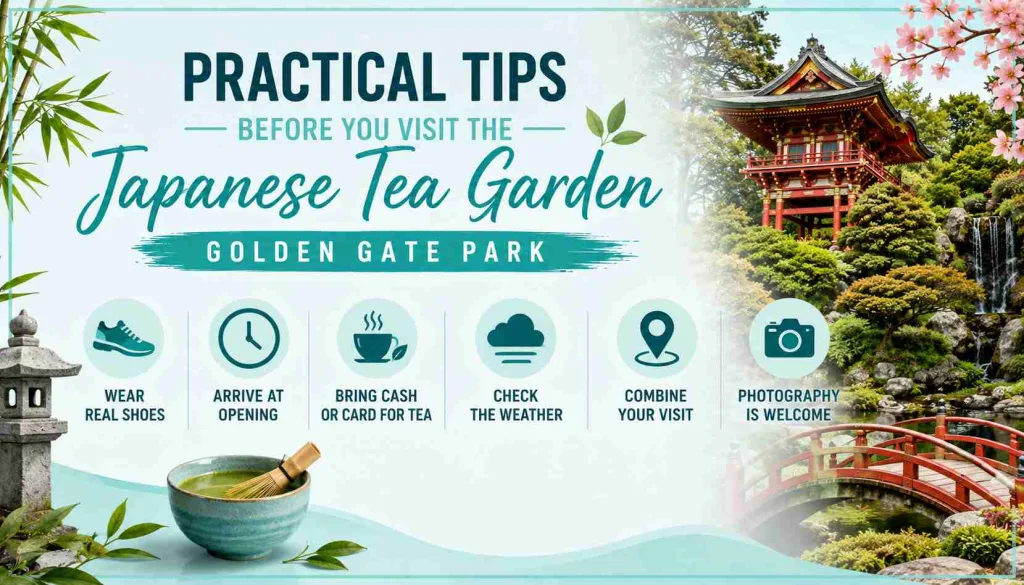 Practical Tips Before You Visit the Japanese Tea Garden Golden Gate Park