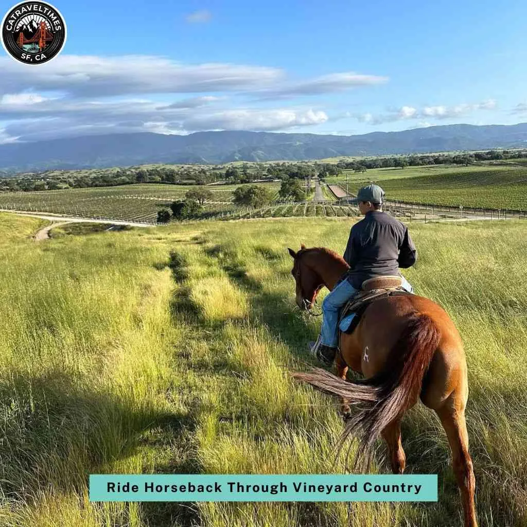 Ride Horseback Through Vineyard Country