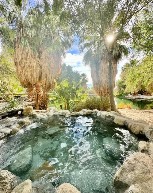 Top 14 Things to Do in Palm Springs California: Complete 2026 Guide 7 Soak in the Desert's Natural Hot Springs