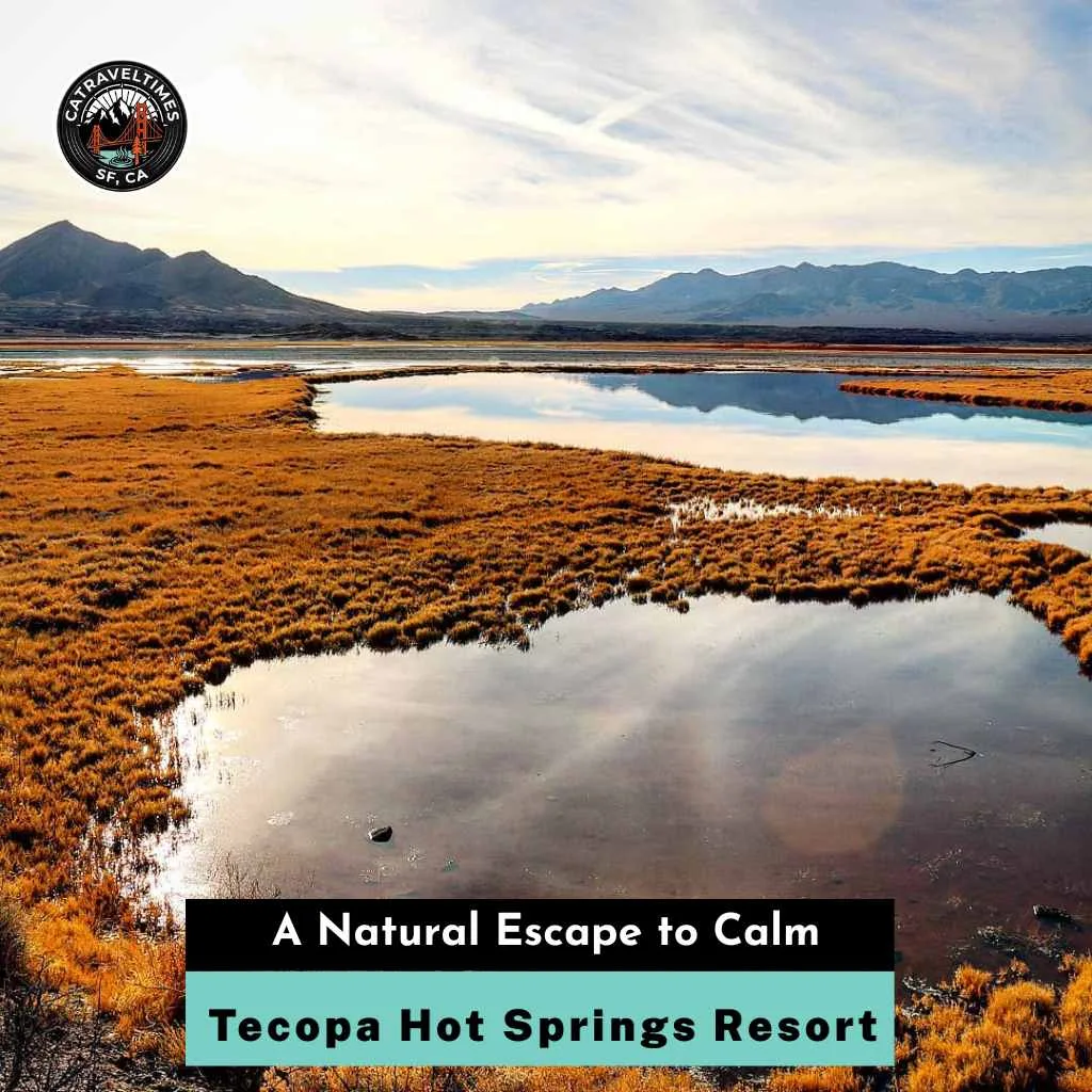 Tecopa Hot Springs Resort A Natural Escape to Calm