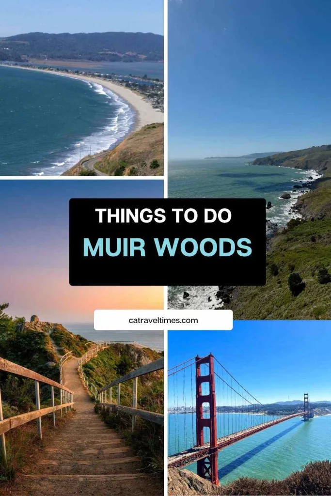 5 Things to Do Near Muir Woods