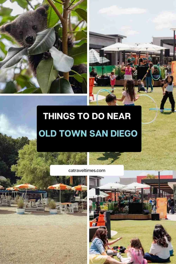 Things to Do Near Old Town San Diego