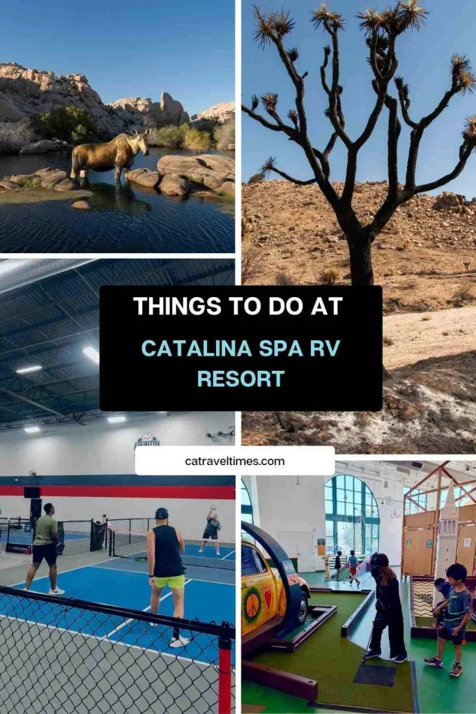 Things to do at Catalina Spa RV Resort?