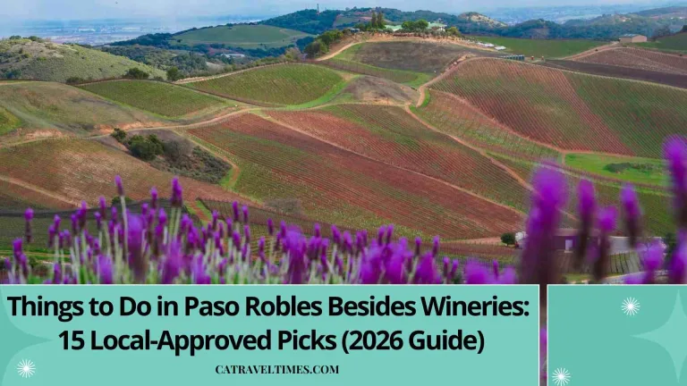 Things to Do in Paso Robles Besides Wineries: 15 Local-Approved Picks (2026 Guide) 6 Things to Do in Paso Robles Besides Wineries