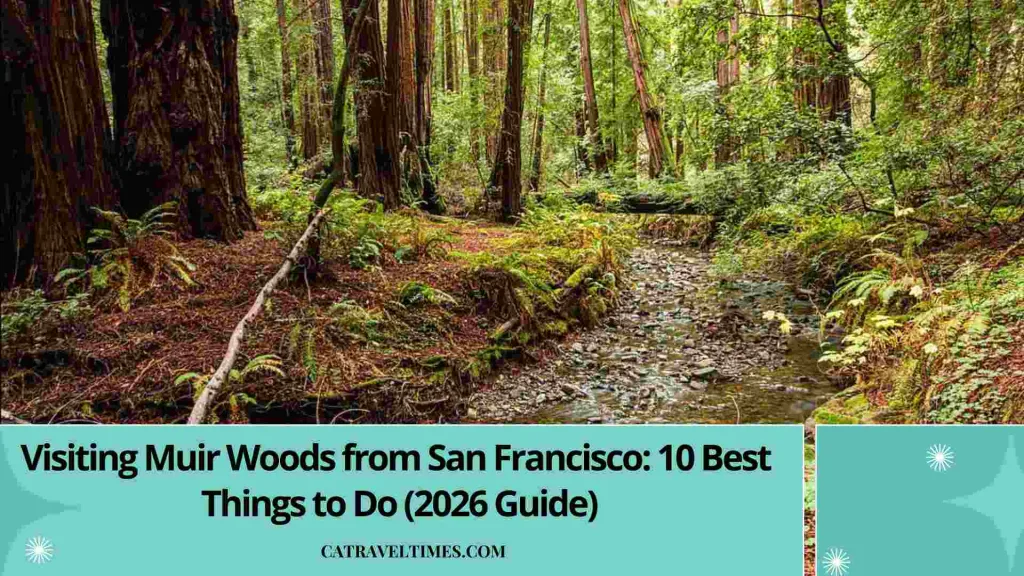 Visiting Muir Woods from San Francisco