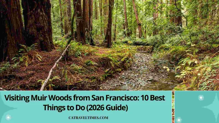 Visiting Muir Woods from San Francisco