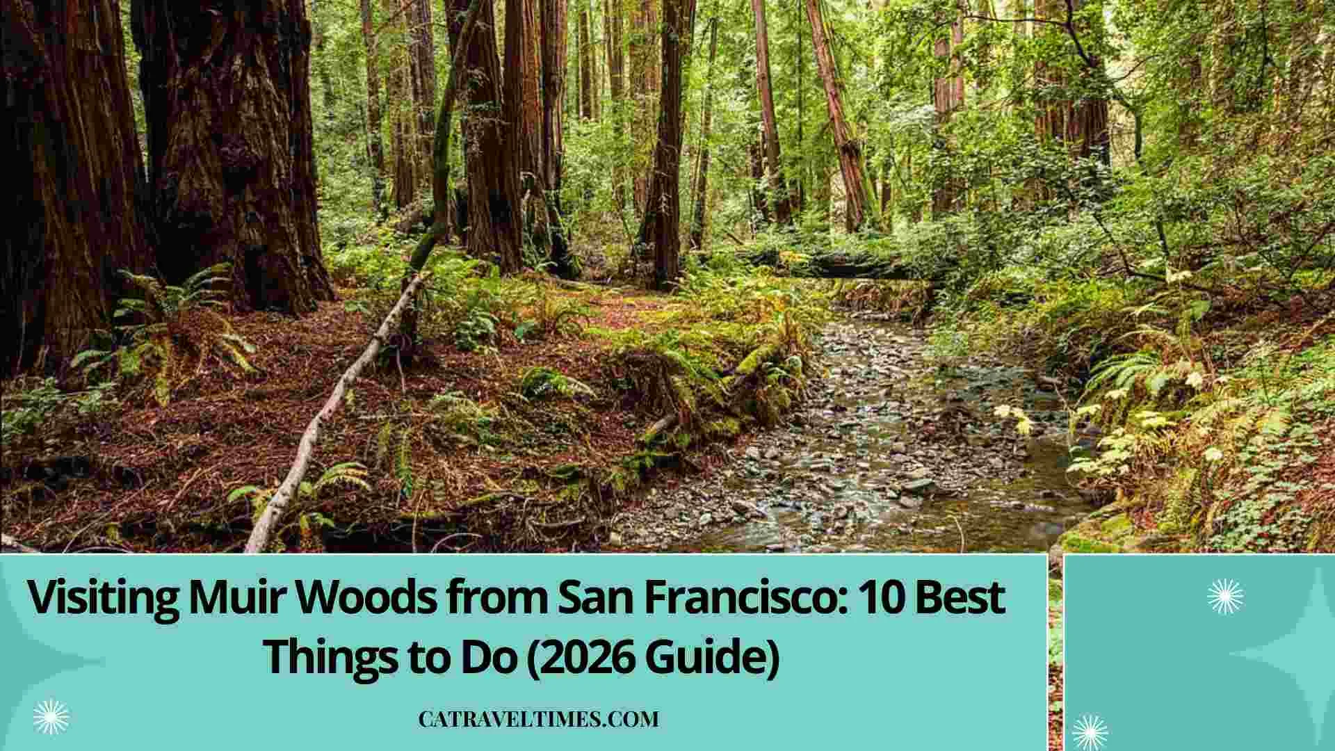 Visiting Muir Woods from San Francisco