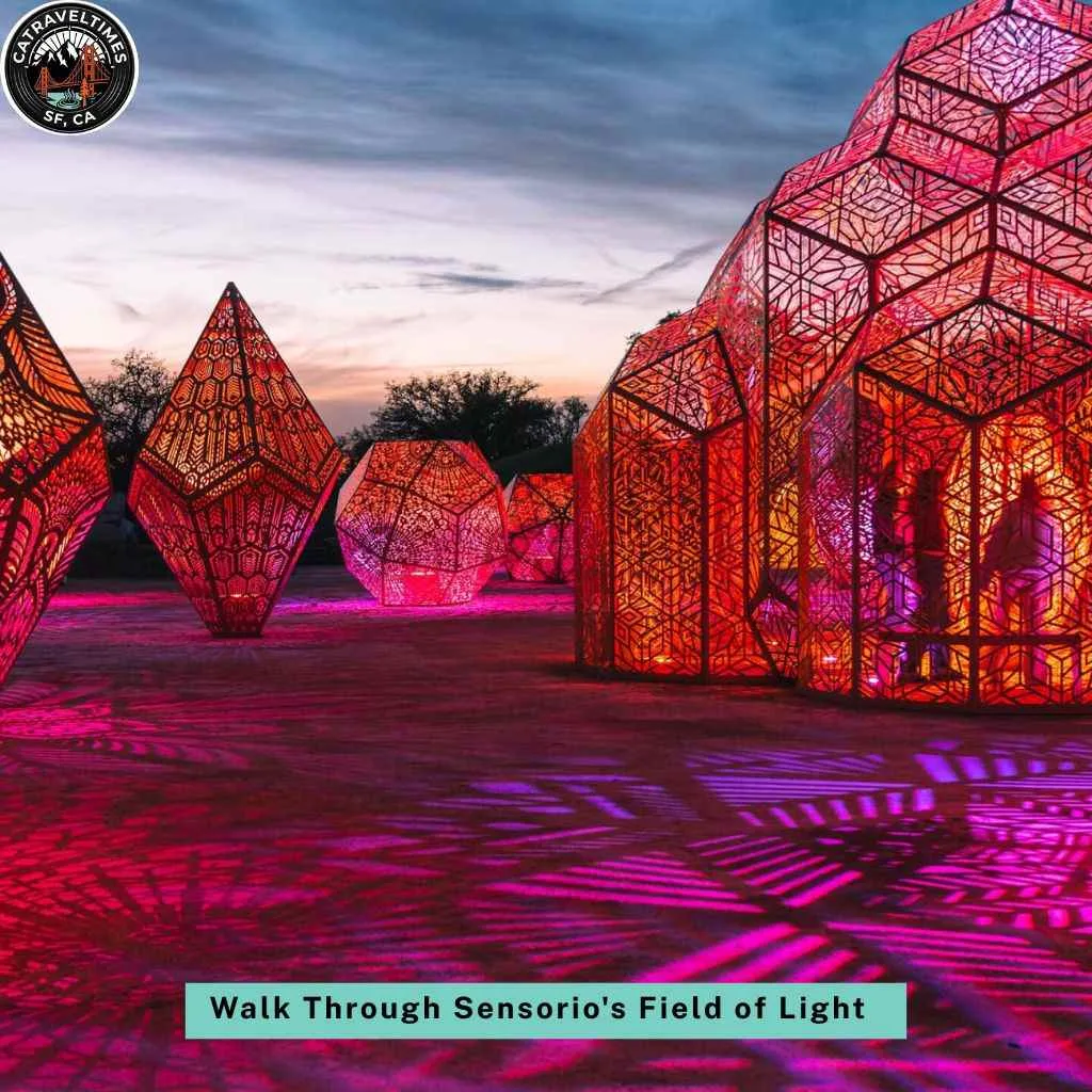 Walk Through Sensorio's Field of Light