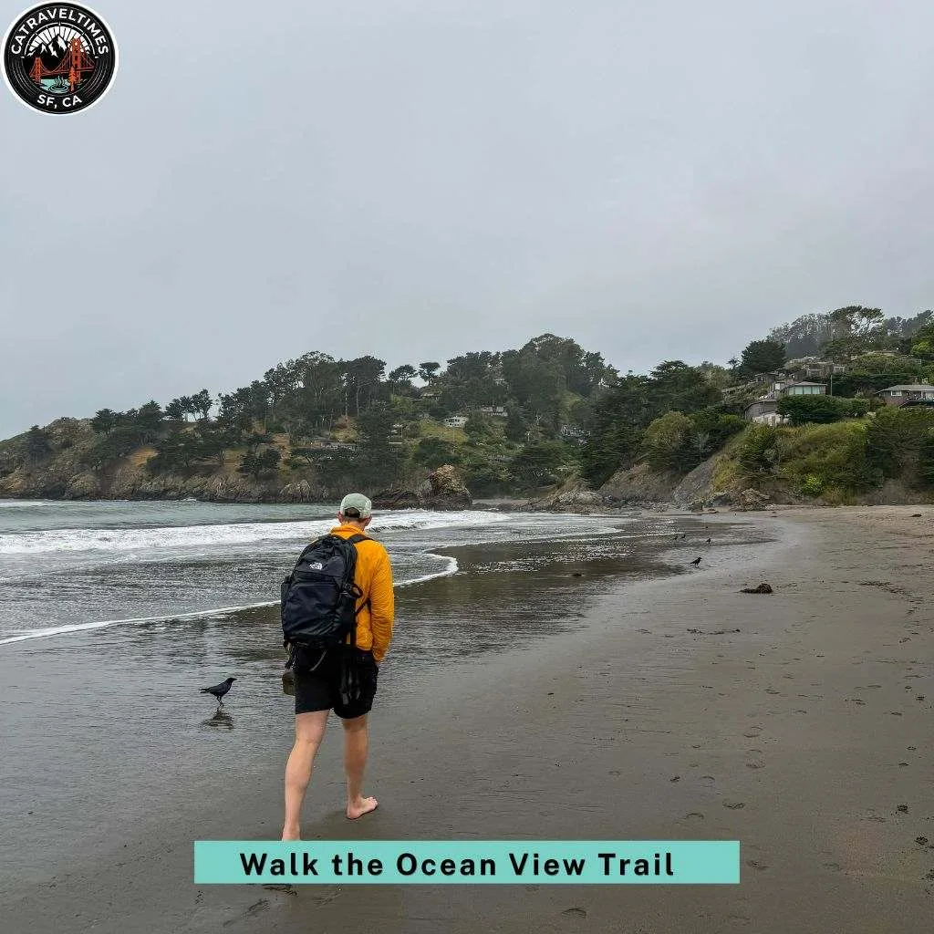 Walk the Ocean View Trail