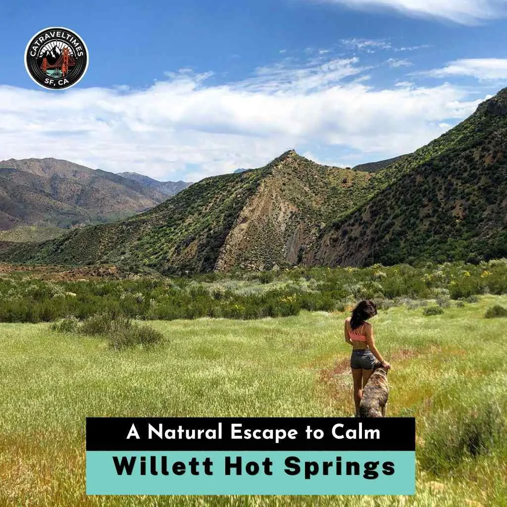 Willett Hot Springs A Natural Escape to Calm