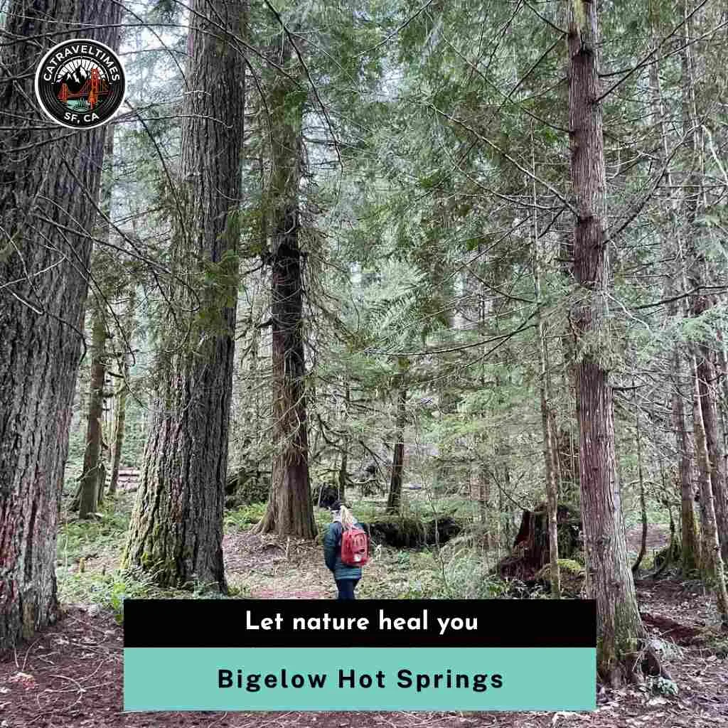 Bigelow Hot Springs Let nature heal you