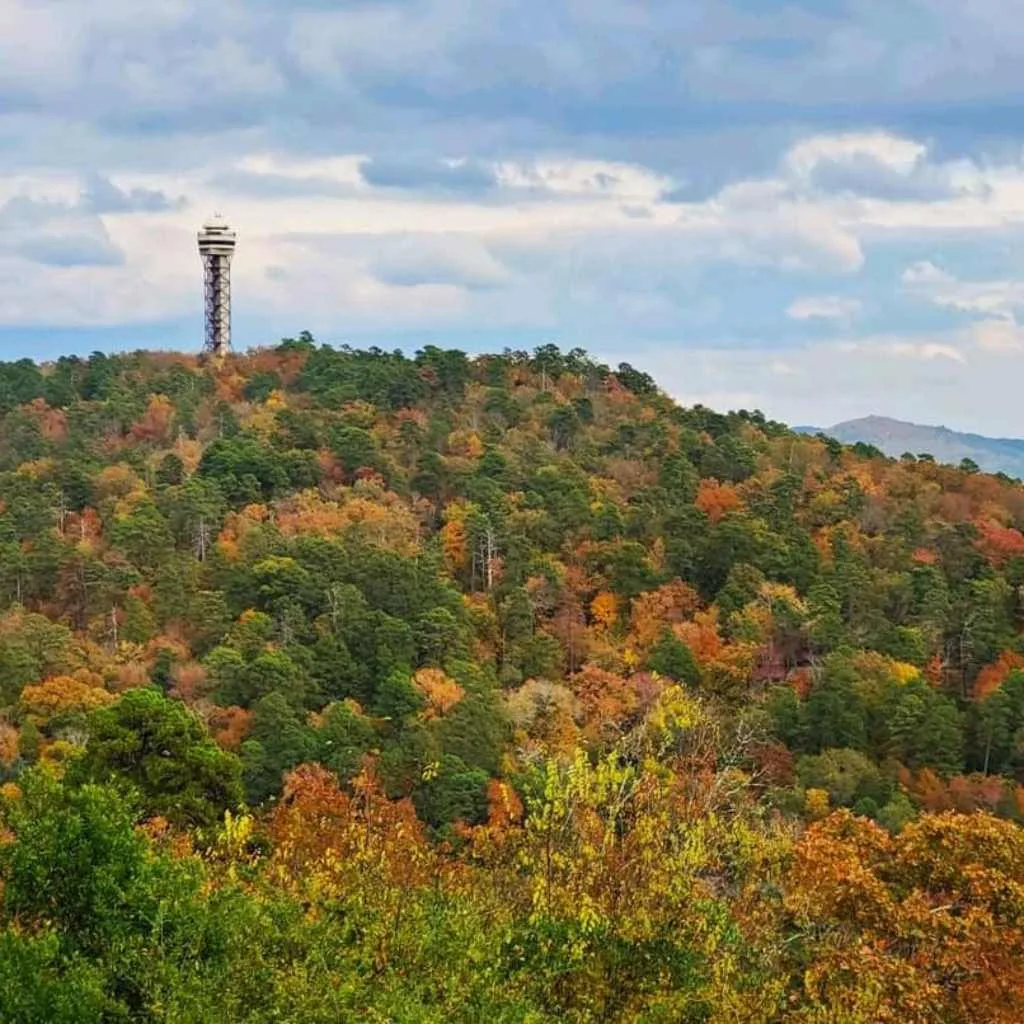 What to Do in Hot Springs, Arkansas: Ultimate Guide 2026 4 Climb Hot Springs Mountain Tower