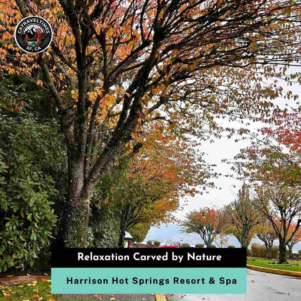 Harrison Hot Springs Resort & Spa: Complete Visitor Guide 2026 6 Harrison Hot Springs Resort & Spa Relaxation Carved by Nature
