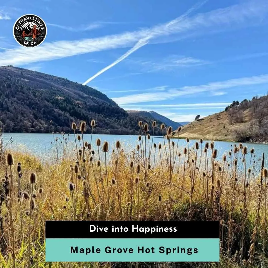 Maple Grove Hot Springs Dive into Happiness