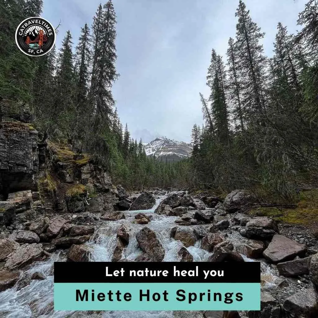 Miette Hot Springs: Complete Jasper Visitor Guide 2026 4 Miette Hot Springs Let nature heal you