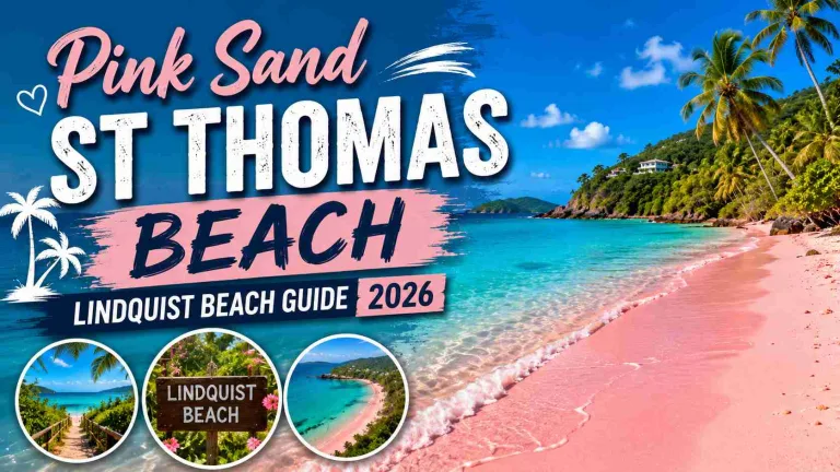 Pink Sand St Thomas Beach