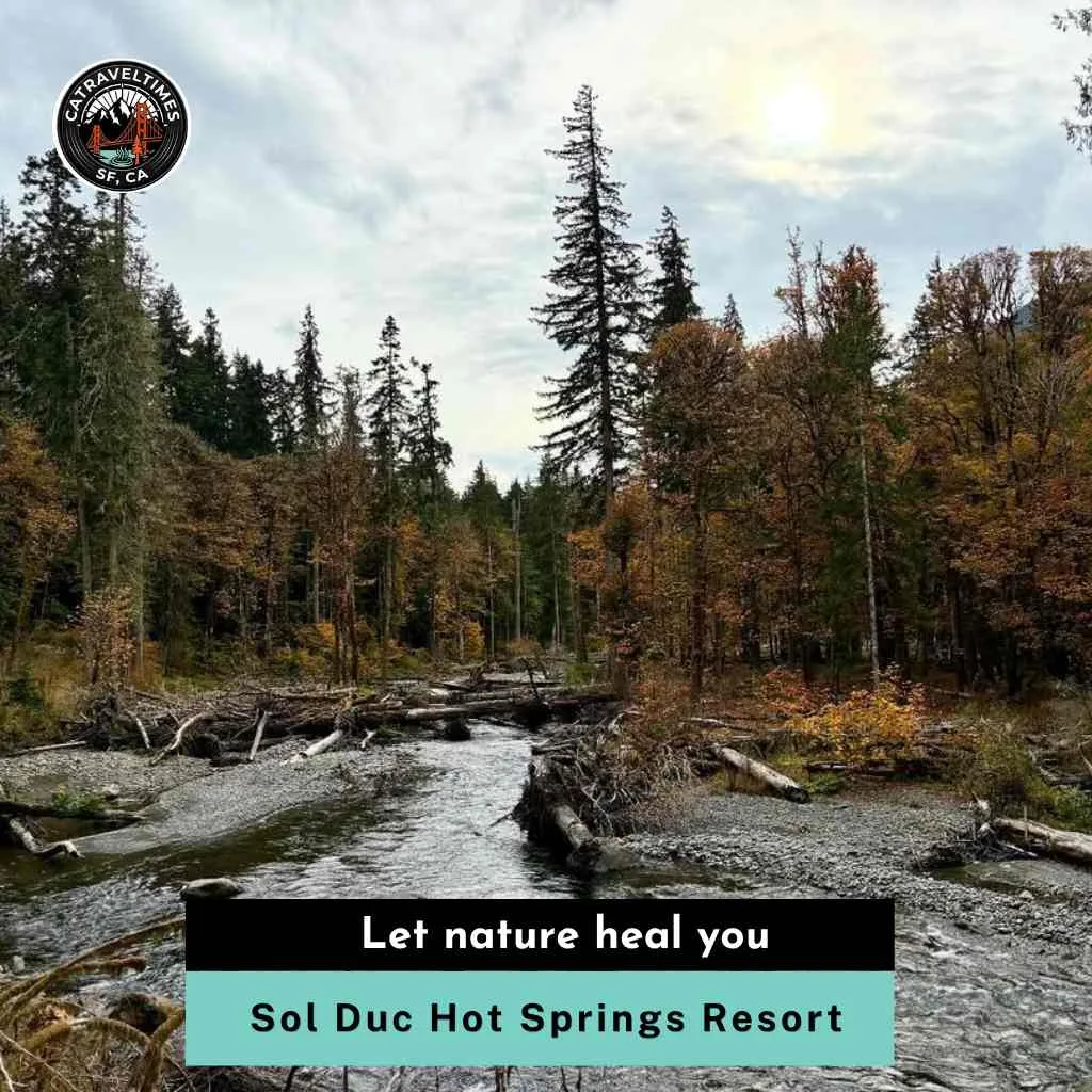 Sol Duc Hot Springs Resort Let nature heal you