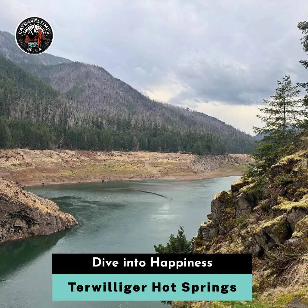 Terwilliger Hot Springs Dive into Happiness