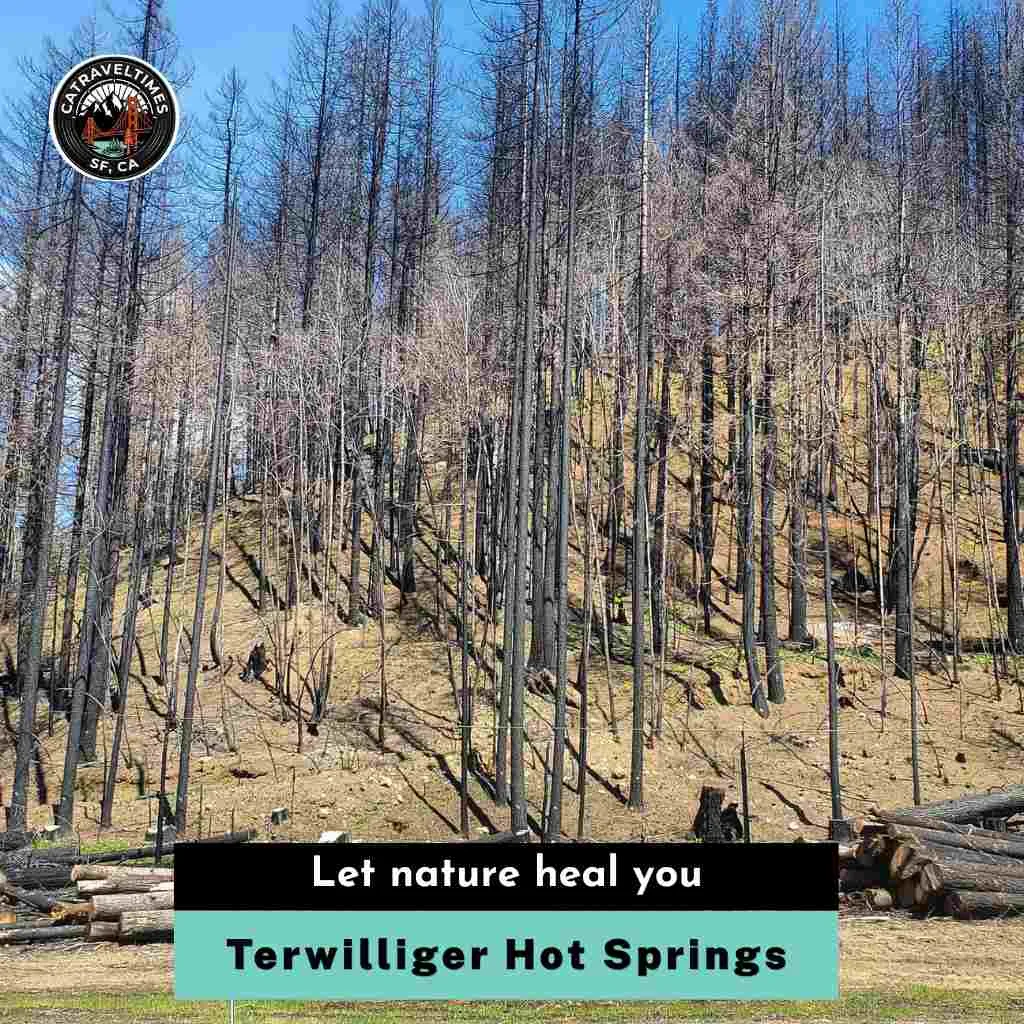 Terwilliger Hot Springs Let nature heal you