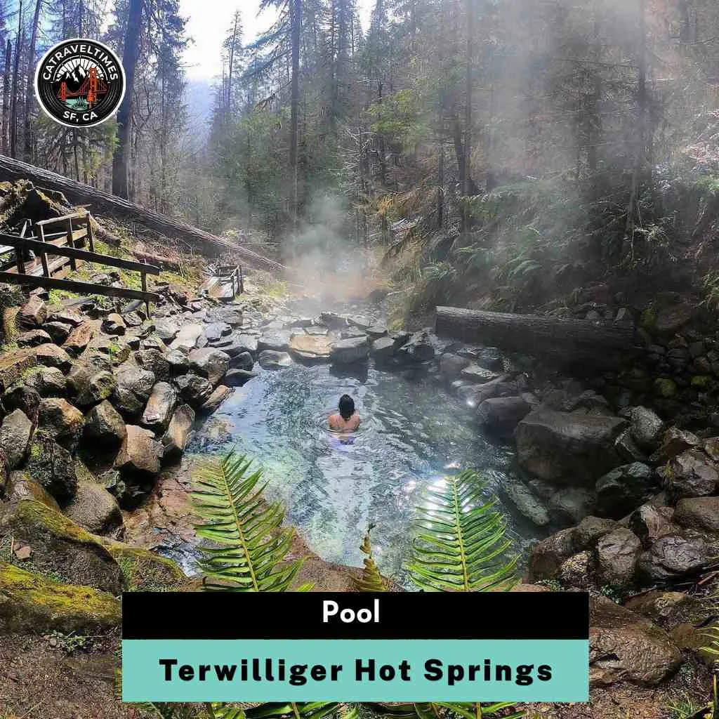 Terwilliger Hot Springs pool